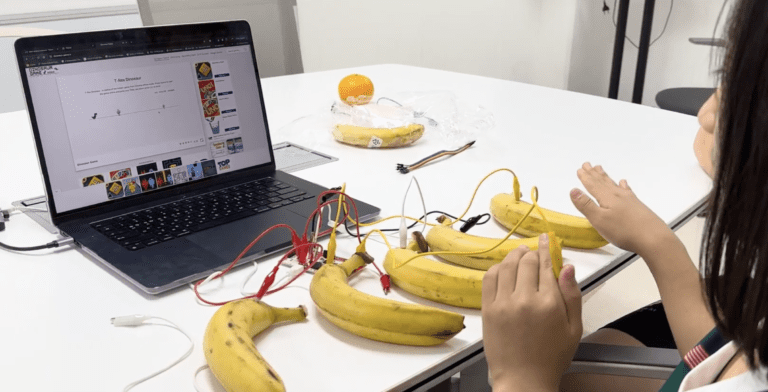 Read more about the article Banana Battery Experiment